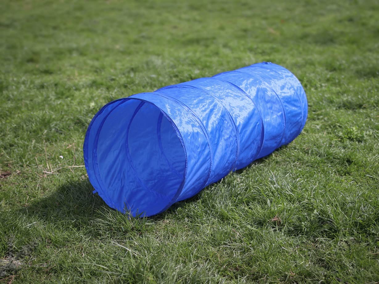 lemodo-agility-set-hunde-h-rde-tunnel-sprungring image 7